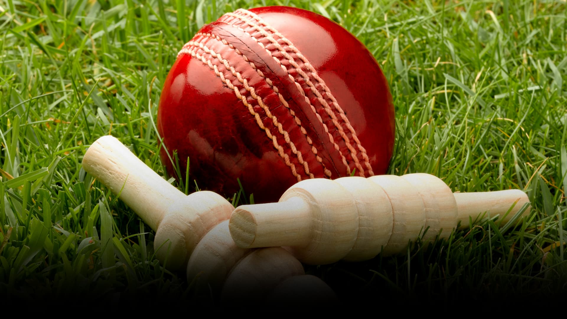 Cricket Events 2026 hero